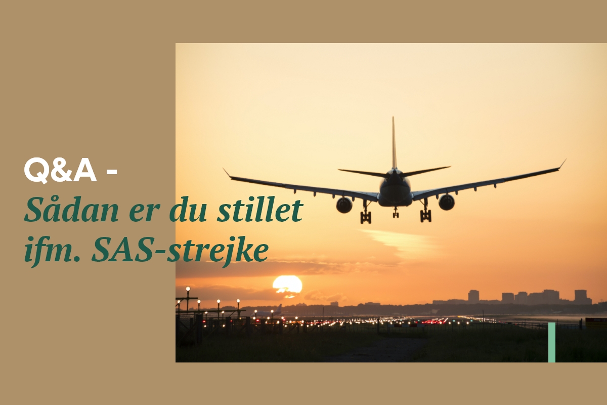 nyse temperament klik SAS-strejke: Hvad betyder det for din ferie? | Lederne