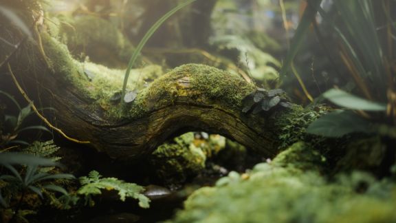 Grn_skovbund_article-card_576x324