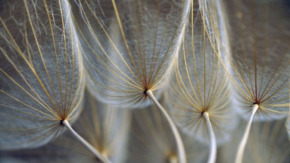 Mlkebtter_article-card_576x324