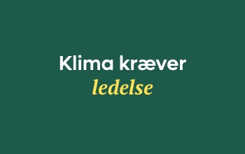Klima kræver ledelse