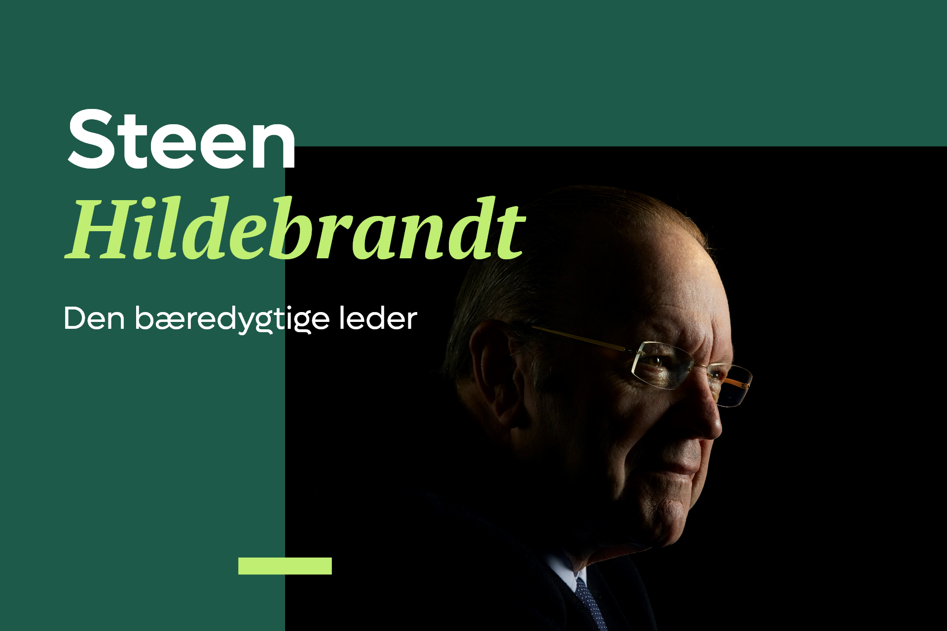 Steen Hildebrandt: den bæredygtige leder
