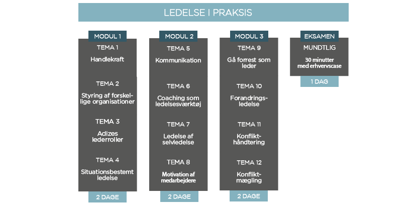 Ledelse i praksis - forløbet