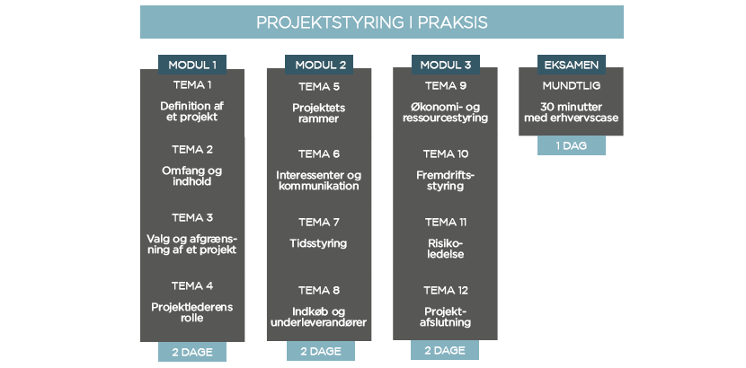 Projektstyring i praksis
